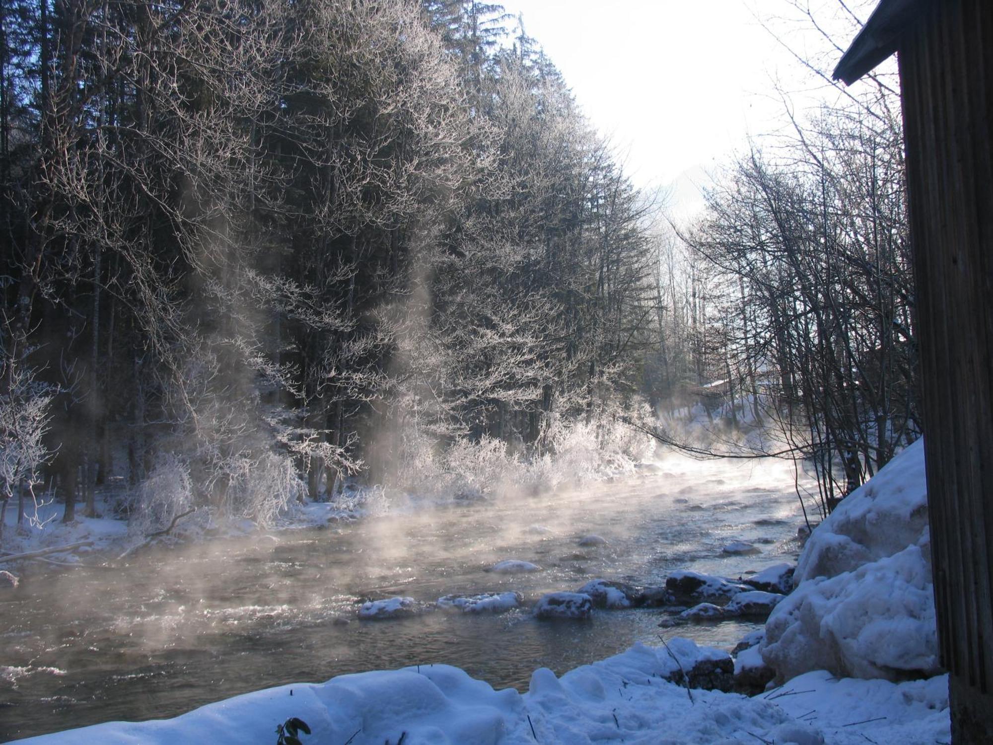 Gasthof Staud'Nwirt Bad Aussee Εξωτερικό φωτογραφία
